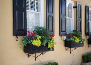 Stylish blinds on French-style windows